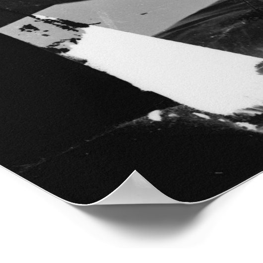 Poster Thaddeus Stevens (Coin)