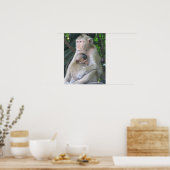 Poster Thailand Monkey Mother and Child Hug (Cuisine)