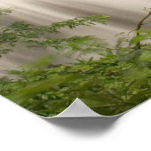 Poster Thaïlande, Cascade de Huai Mae Khamin (Coin)