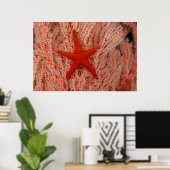 Poster Thaïlande, étoile de mer aka starfish (Bureau à domicile)