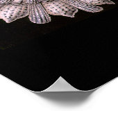 Poster Thalamphora - Plaque 2 - Kunstformen der Natur (Coin)