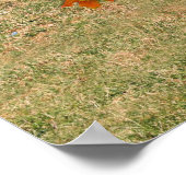 Poster Thanksgiving Ducks (Coin)