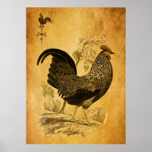 Poster Thanksgiving Rooster