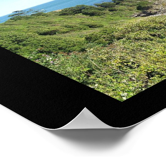 Poster Thatchers Rock (Coin)