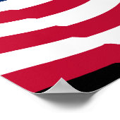 Poster The Antifa Handbook Patriotic (ds) (Coin)