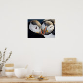 Poster The Atlantic Puffin, a pelagic seabird, shown 3 (Cuisine)