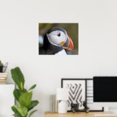 Poster The Atlantic Puffin, un oiseau marin pélagique, mo (Bureau à domicile)