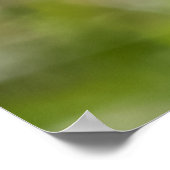 Poster The Bend Floral (Coin)