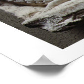 Poster The Birth of Vénus (Coin)