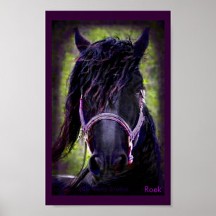 Poster The Black Stallion Print