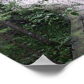 Poster "The Boardwalk" (Coin)