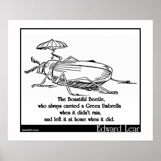 Poster The Bountiful Beetle (Devant)