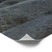 Poster The bridge (Coin)