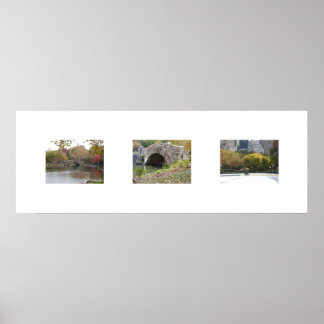 Poster The Bridges In Color