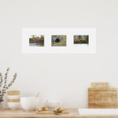 Poster The Bridges In Color (Cuisine)