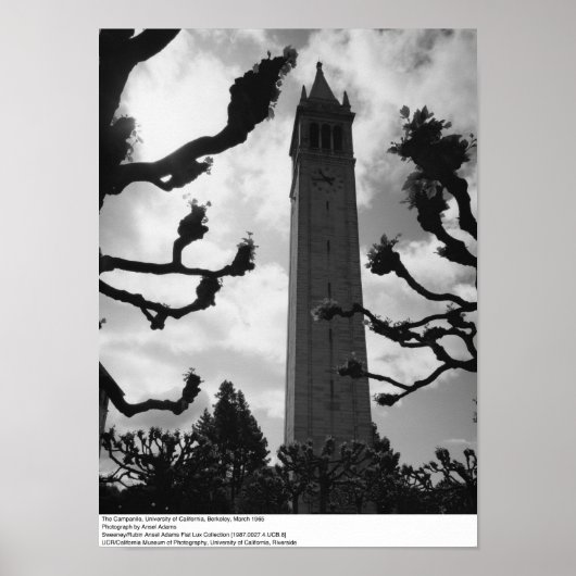 Poster The Campanile, UC Berkeley, 1965 (Devant)