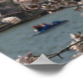 Poster The Cherry Blossoms In Bloom In Washington (Coin)