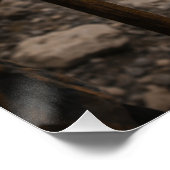 Poster The darkest valley (Coin)