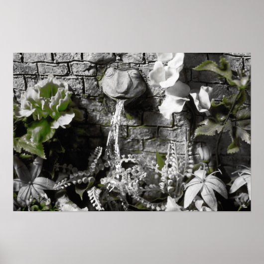 Poster Thé de sang et Fontaine de grenouille à cordes rou (Devant)