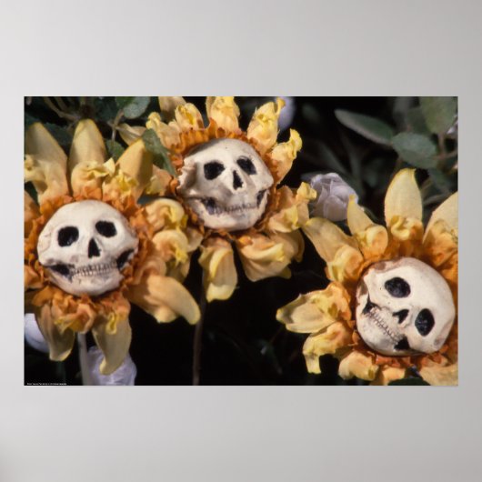 Poster Thé de sang et Tournesol à cordes rouges (Devant)