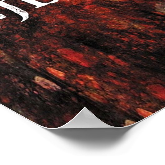 Poster The Devils Rejects  (Coin)