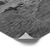 Poster The Dust Bowl (Coin)