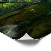 Poster The Emerald Flow of the Irish Brook (Coin)