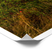 Poster The Evening Glow of Greystones Coast (Coin)