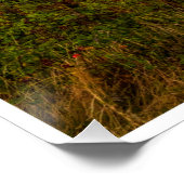 Poster The Evening Glow of Greystones Coast (Coin)