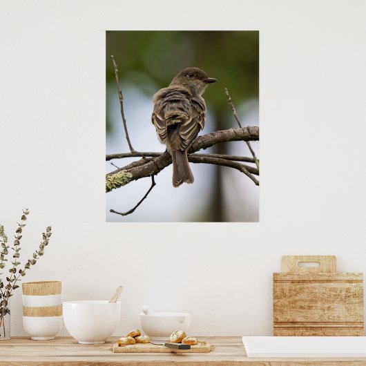 Poster The Fly Catcher (Cuisine)