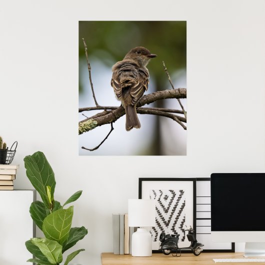 Poster The Fly Catcher (Bureau à domicile)