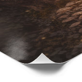 Poster The Forest Dreamer (Coin)