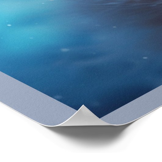 Poster The Fox of the Mysterious Forest (Coin)