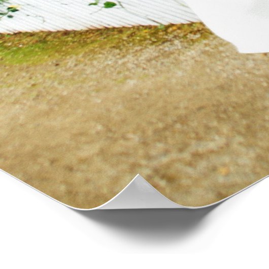 Poster The Getaway (Coin)