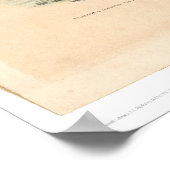 Poster The Gold Seeker (0638A) (Coin)