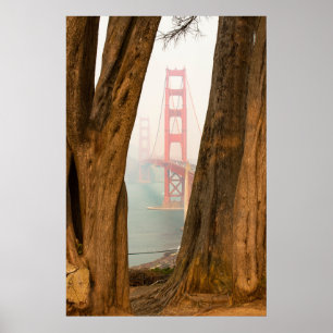 Poster The Golden Gate Bridge Trees from Overlook View