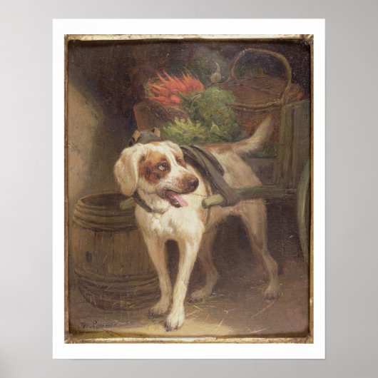 Poster The Grocer's Dog (Devant)