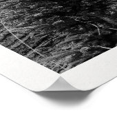 Poster The Holiday Post Newspaper Christmas Tree Farm (Coin)