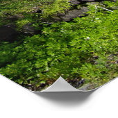 Poster The Inn at Buck Hill Falls, Pa. (Coin)