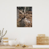 Poster The King's Deer of Richmond Park, Londres, Royaume (Cuisine)