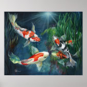 Poster - The Koi Pond (Devant)