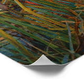 Poster The Lady of Shalott by John William Waterhouse (Coin)