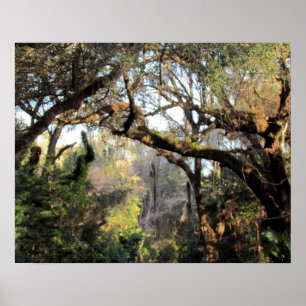 Poster The Magic Forrest