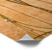 Poster The May Queen (Coin)