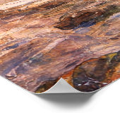 Poster The Merman by John William Waterhouse (Coin)