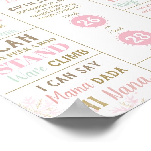 Poster The Nutcracker 1st Birthday Milestone Birth Stats  (Coin)