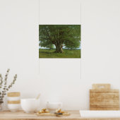 Poster The Oak of Flagey, called Vercingetorix (Cuisine)