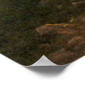 Poster The Oregon Trail, by Albert Bierstadt (Coin)