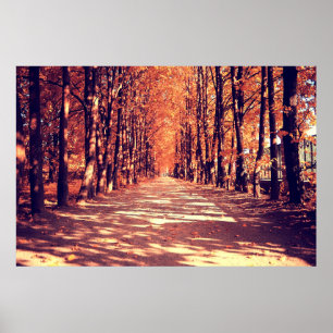 Poster The path in the autumn forest