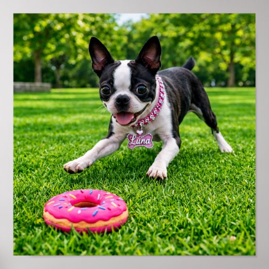 Poster "The REAL Luna" (Devant)